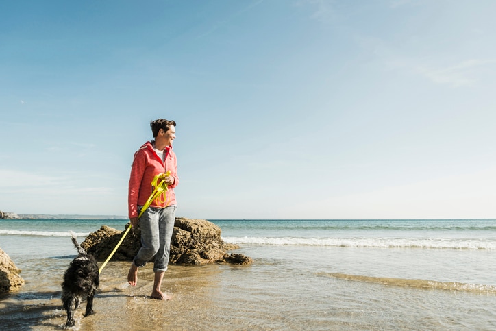 How traveling pet sitters earn money while seeing the world