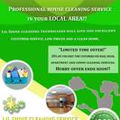 Lil Shine Cleaning Service