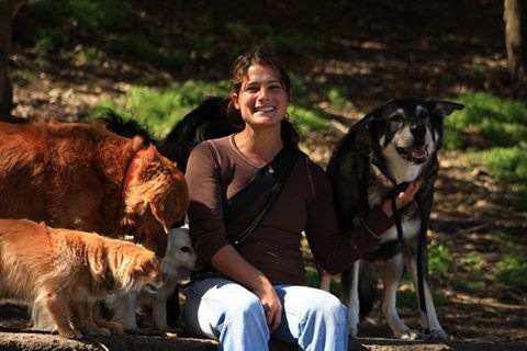 Dog Starr Pet Services's Photo