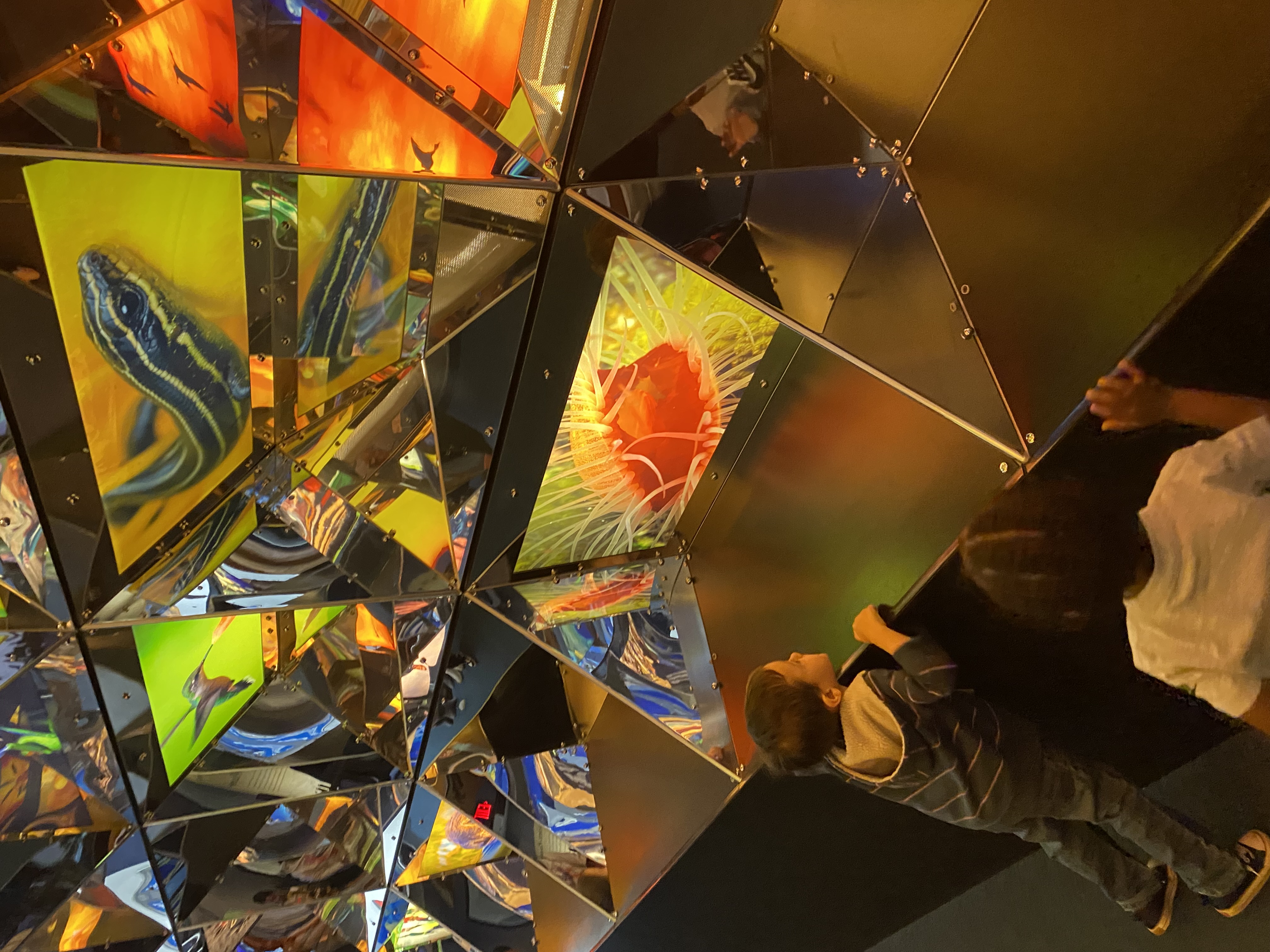 Tees Bumblebees LLC's Photo