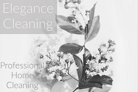 Elegance Cleaning