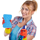 Lilly's Green Cleaning Services