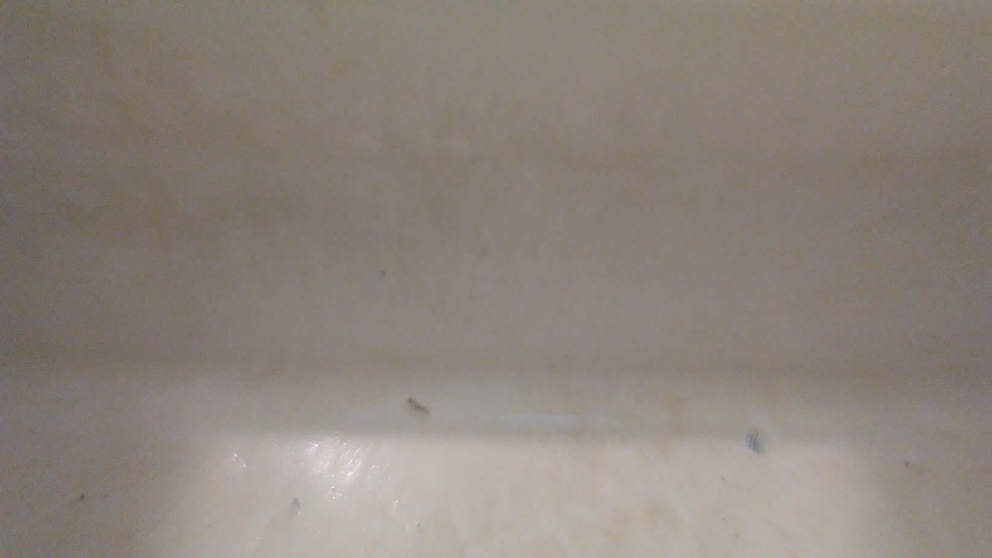 Operation Clean's Photo