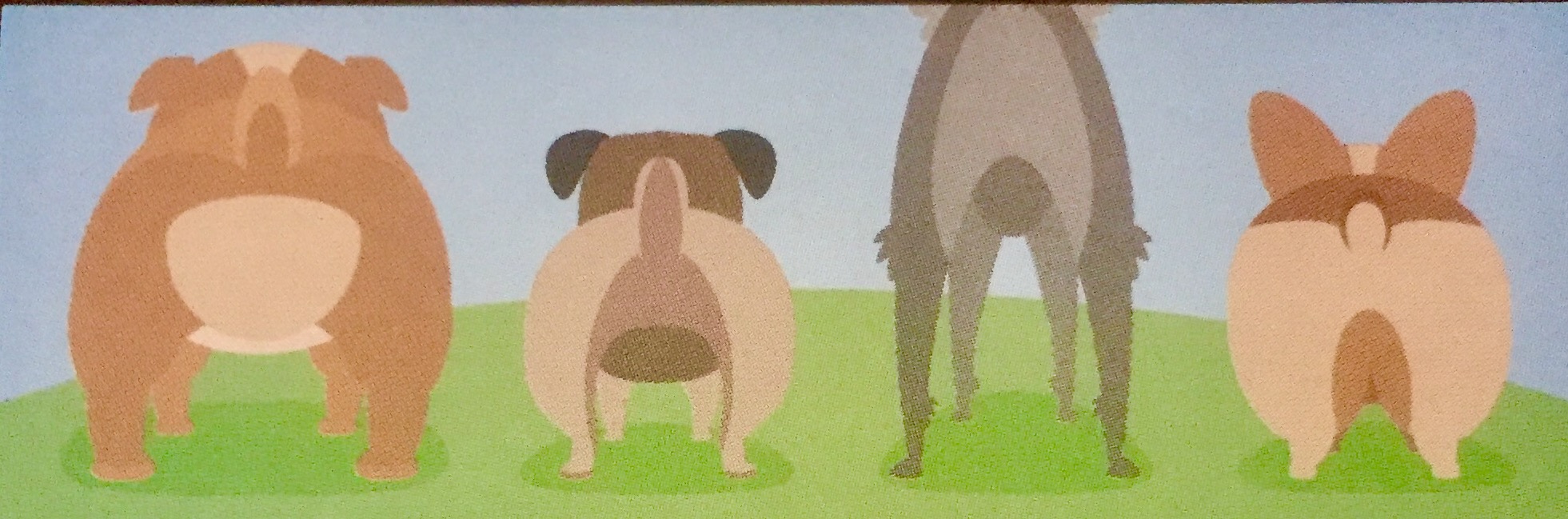 Coastal Concierge LLC dba Happy Tails's Photo