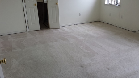 Sparky Carpet Cleaning's Photo