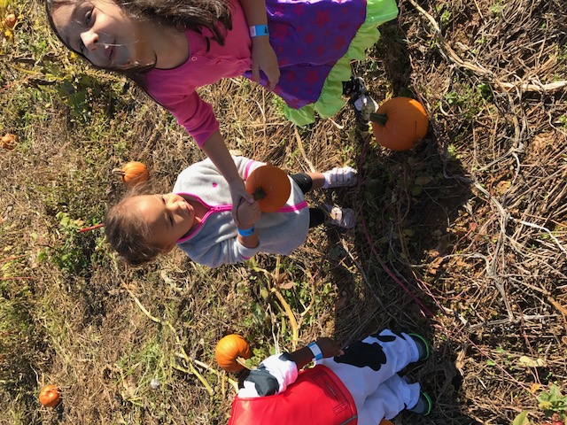 Saira's Kidz Klubhouse's Photo