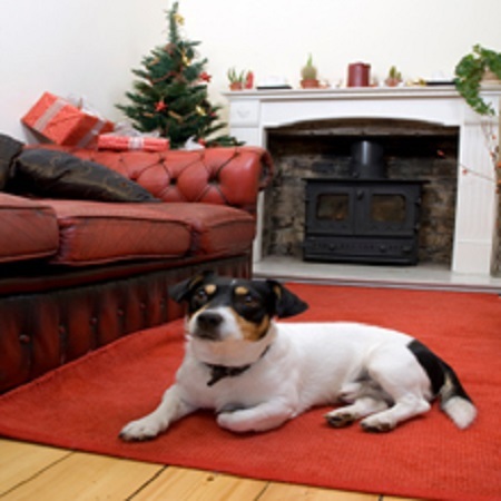 Yetto's Bed & Biscuit
