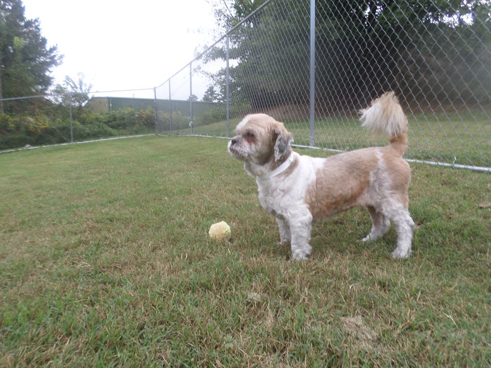 Midway Animal Hospital's Photo