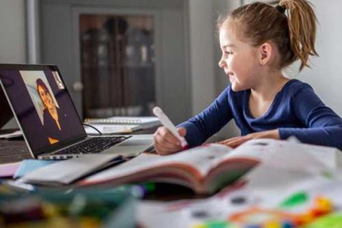 Dolphin Reading's Photo