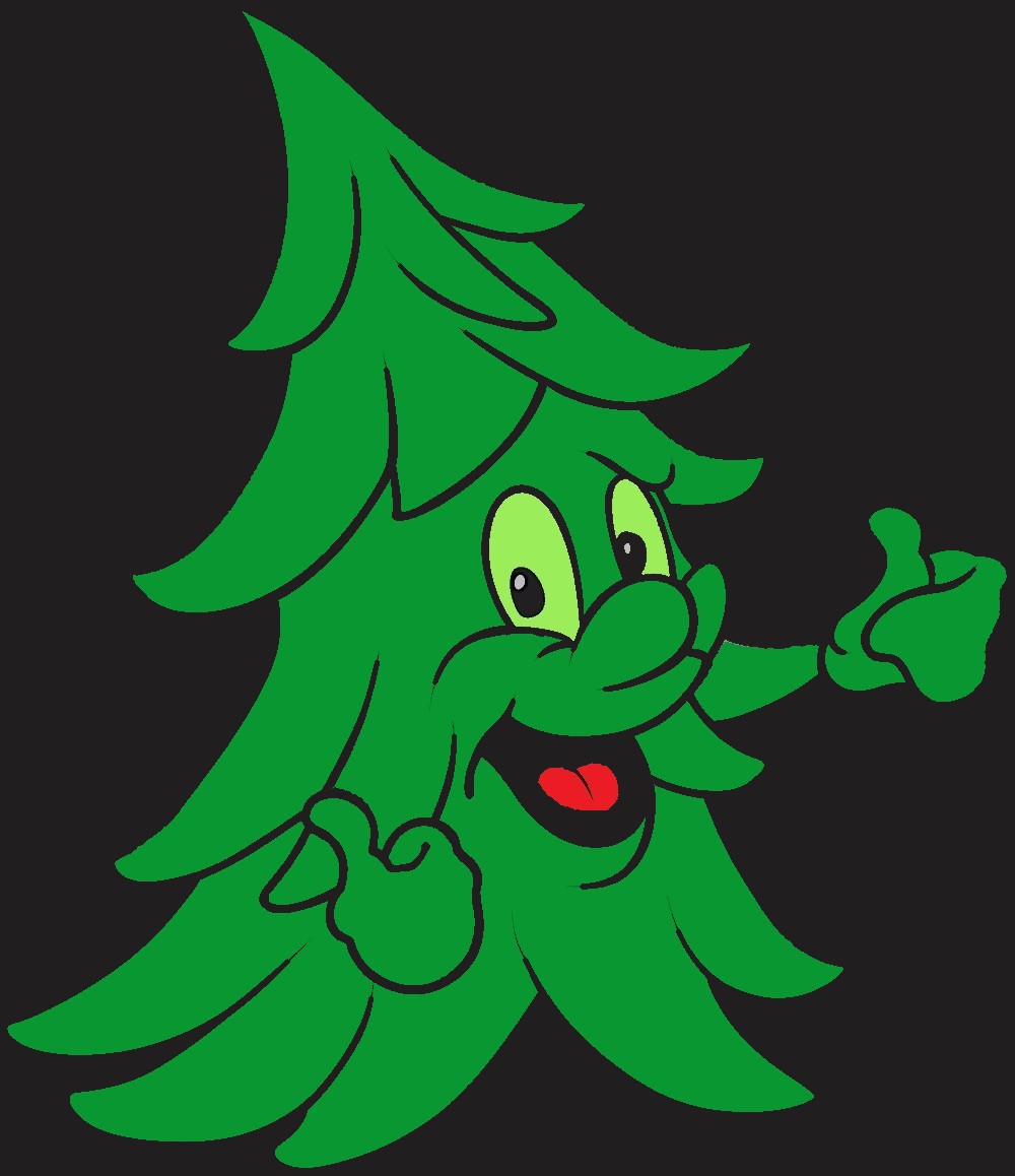 Spruce It Up's Photo