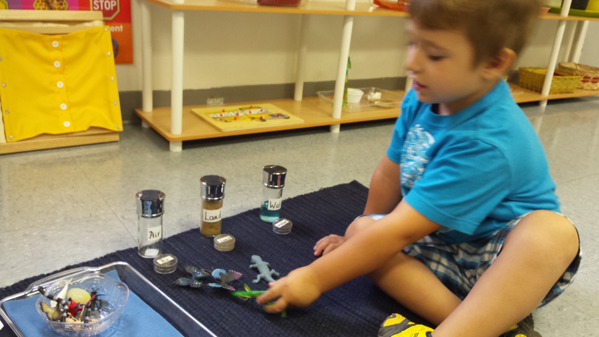 Farmington Montessori Children's Room's Photo