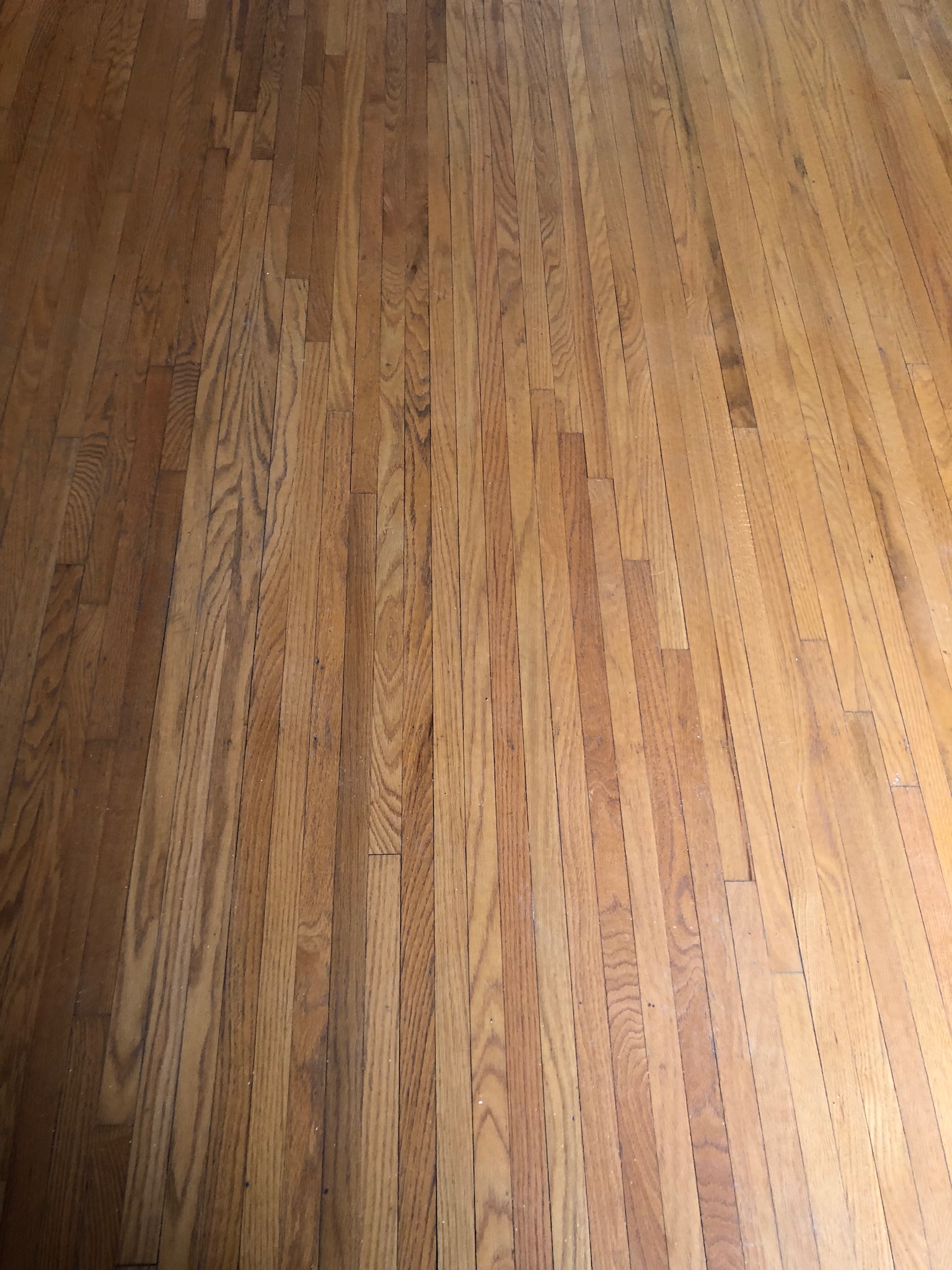 Obanion Cleaning Service and Restoration's Photo