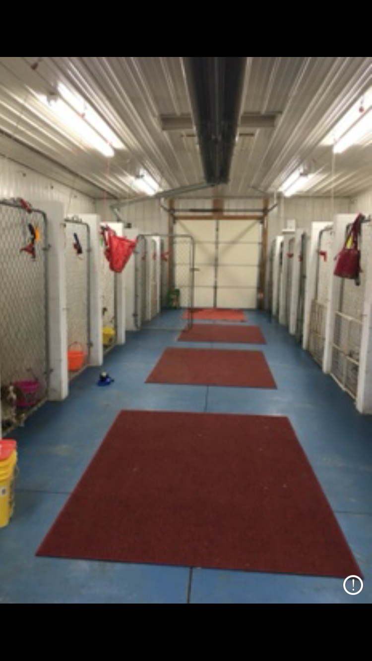 Crooked Creek Kennel LLC's Photo