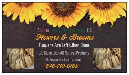 A Red to Green Clean LLC House Cleaning Company