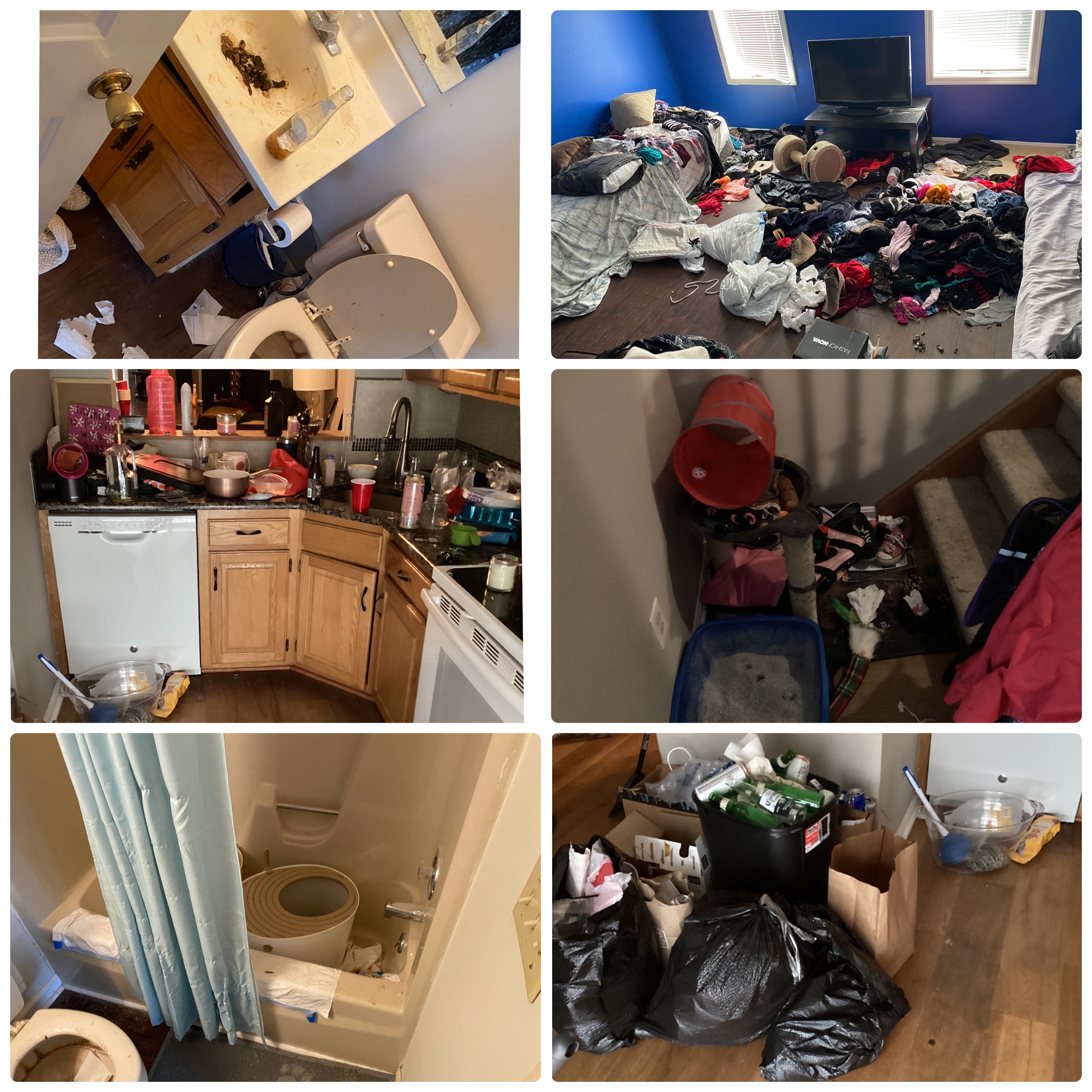 Castle Cleaning llc's Photo