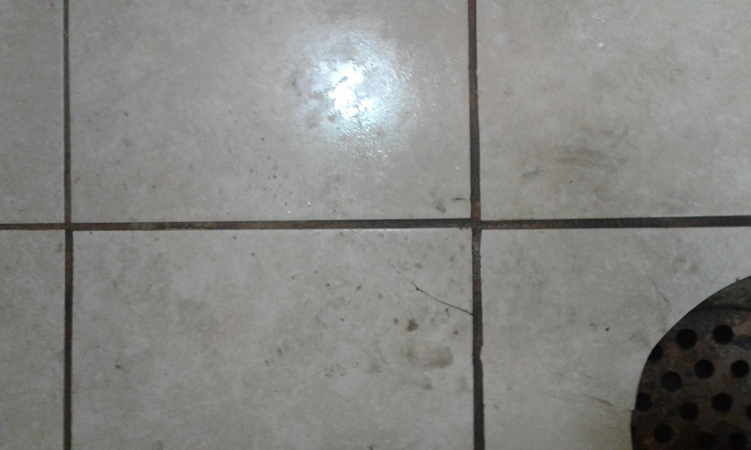 Steam Solution's Photo