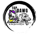 Top Dawg Seattle