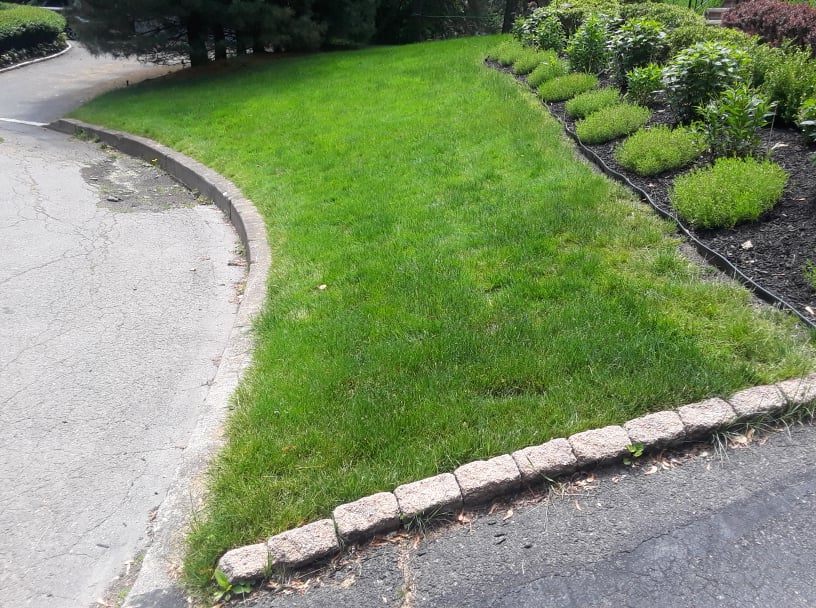 Your Chores LLC's Photo