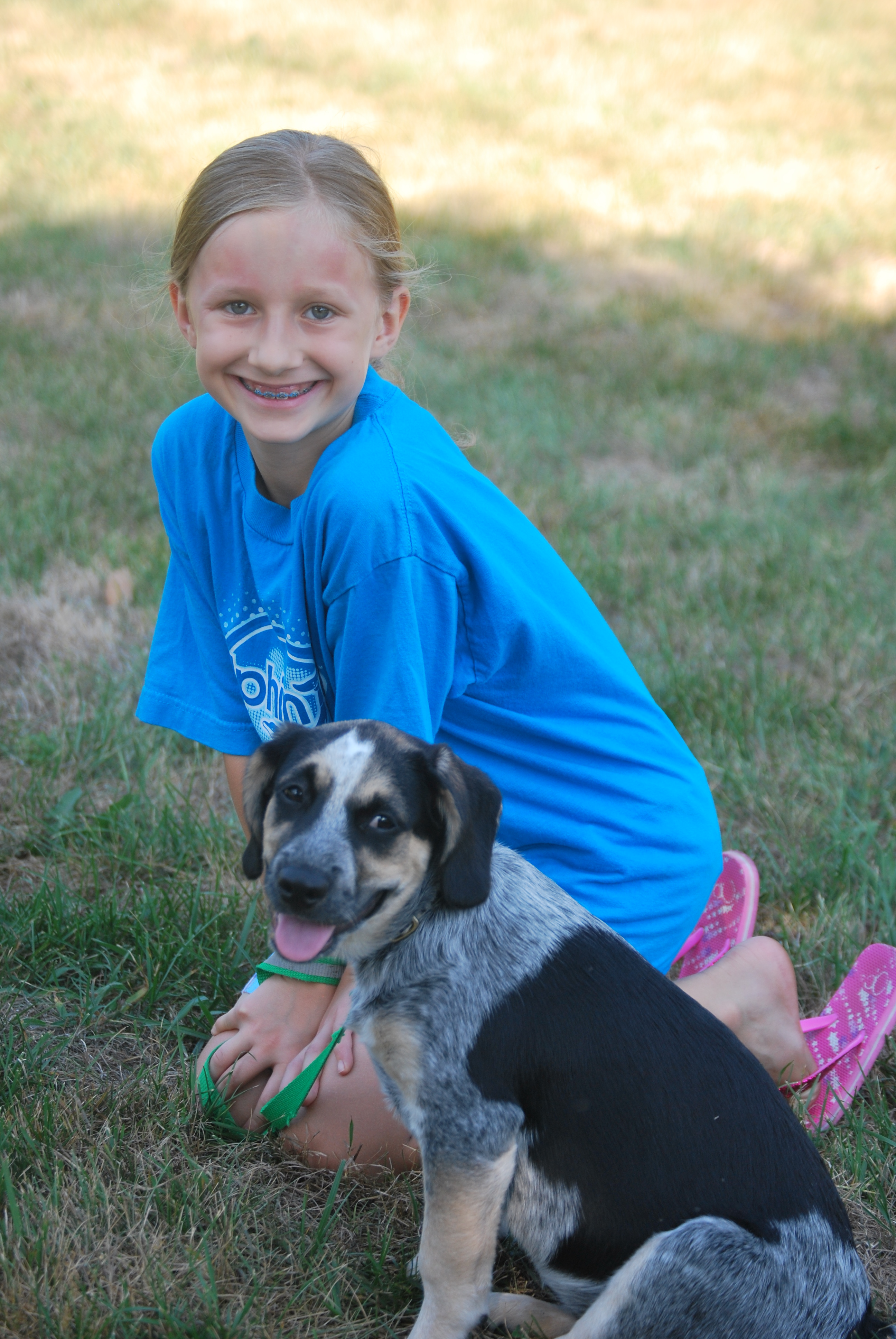 It's Always Fabulous For Dogs's Photo