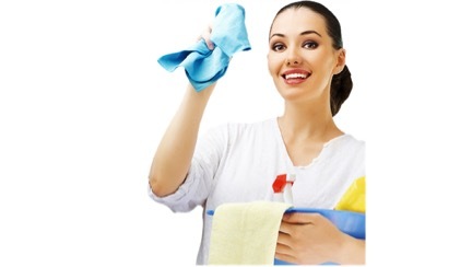 Deep Clean Maid Service Logo