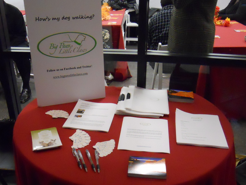 Big Paws Little Claws's Photo