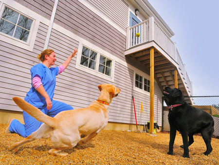 Old Derby Animal Hospital