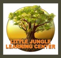 Little Jungle Learning Center