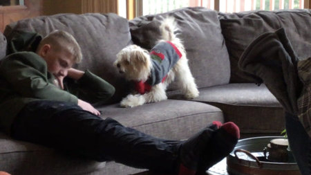Family pet care's Photo