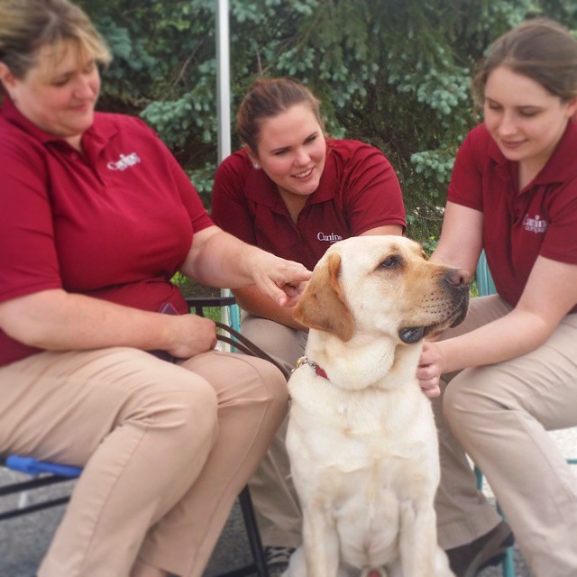 Canine Company's Photo
