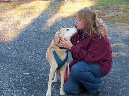 Kathy's Dog Walking & Pet Taxi's Photo