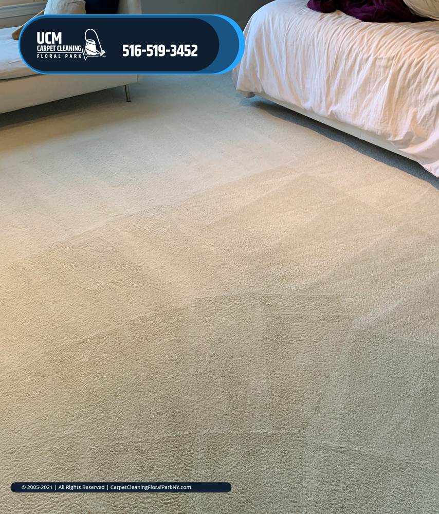 UCM Carpet Cleaning Floral Park's Photo