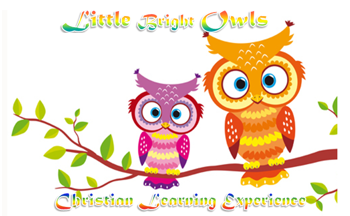 Little Bright Owls Home Daycare's Photo