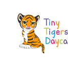 Tiny Tigers Daycare Llc