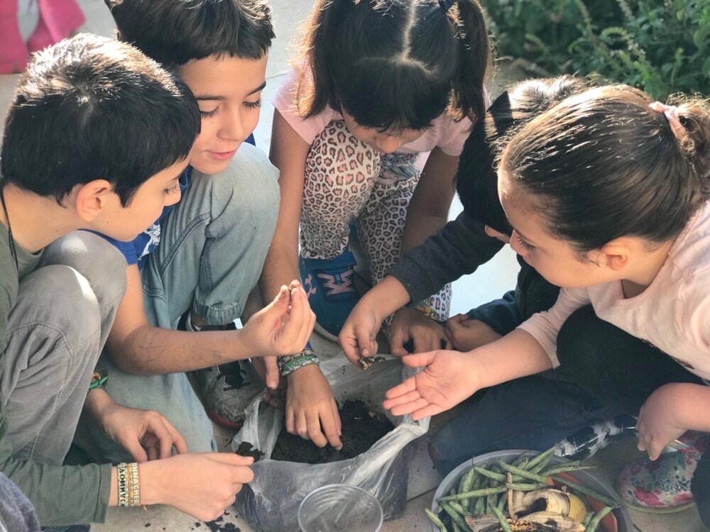 Acton Academy Lincoln's Photo