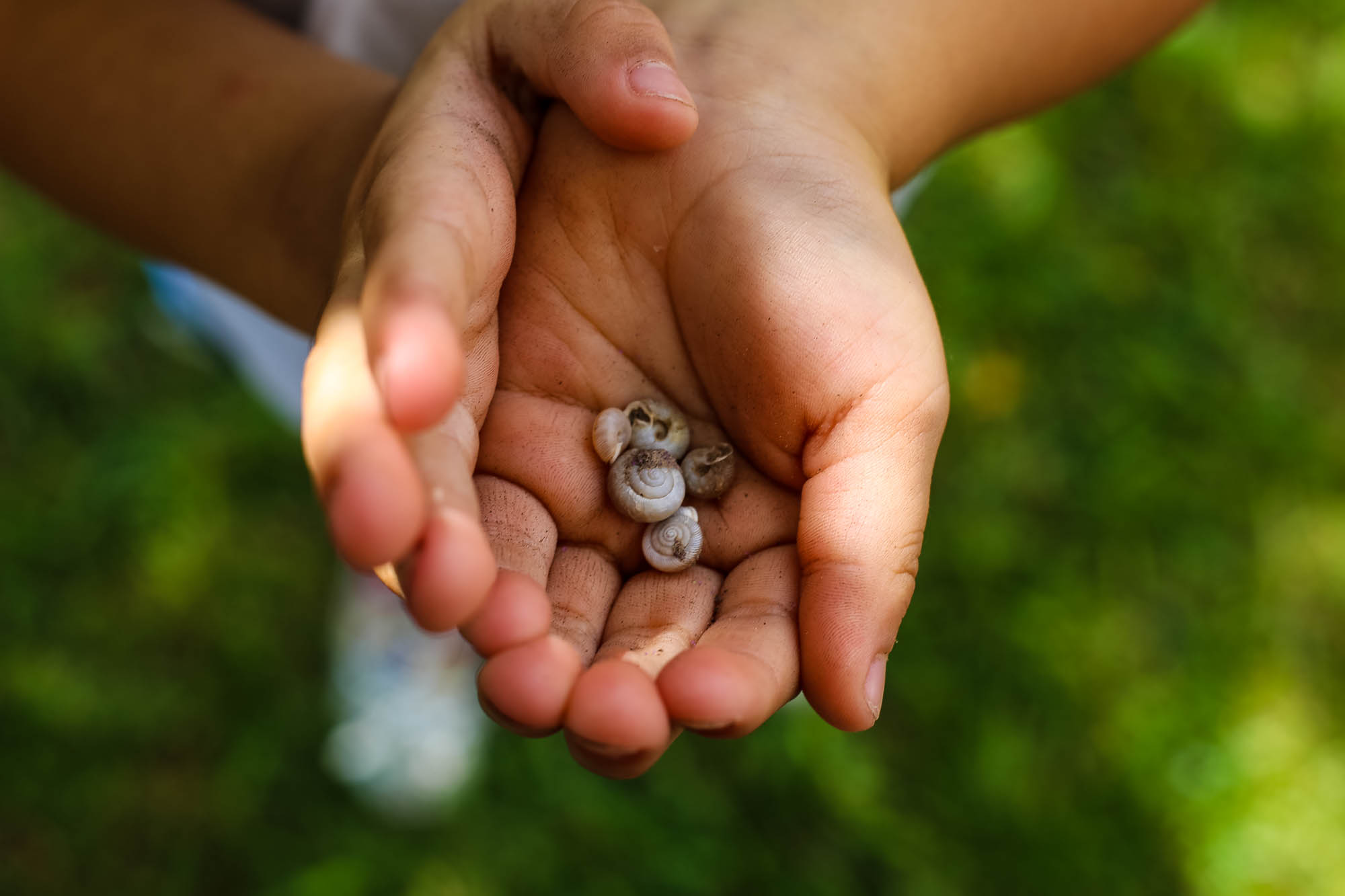 Proverbs Place School House's Photo