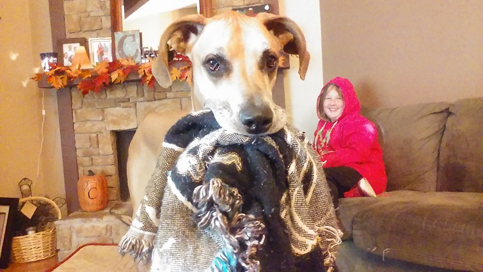 Trades Of Women's Photo