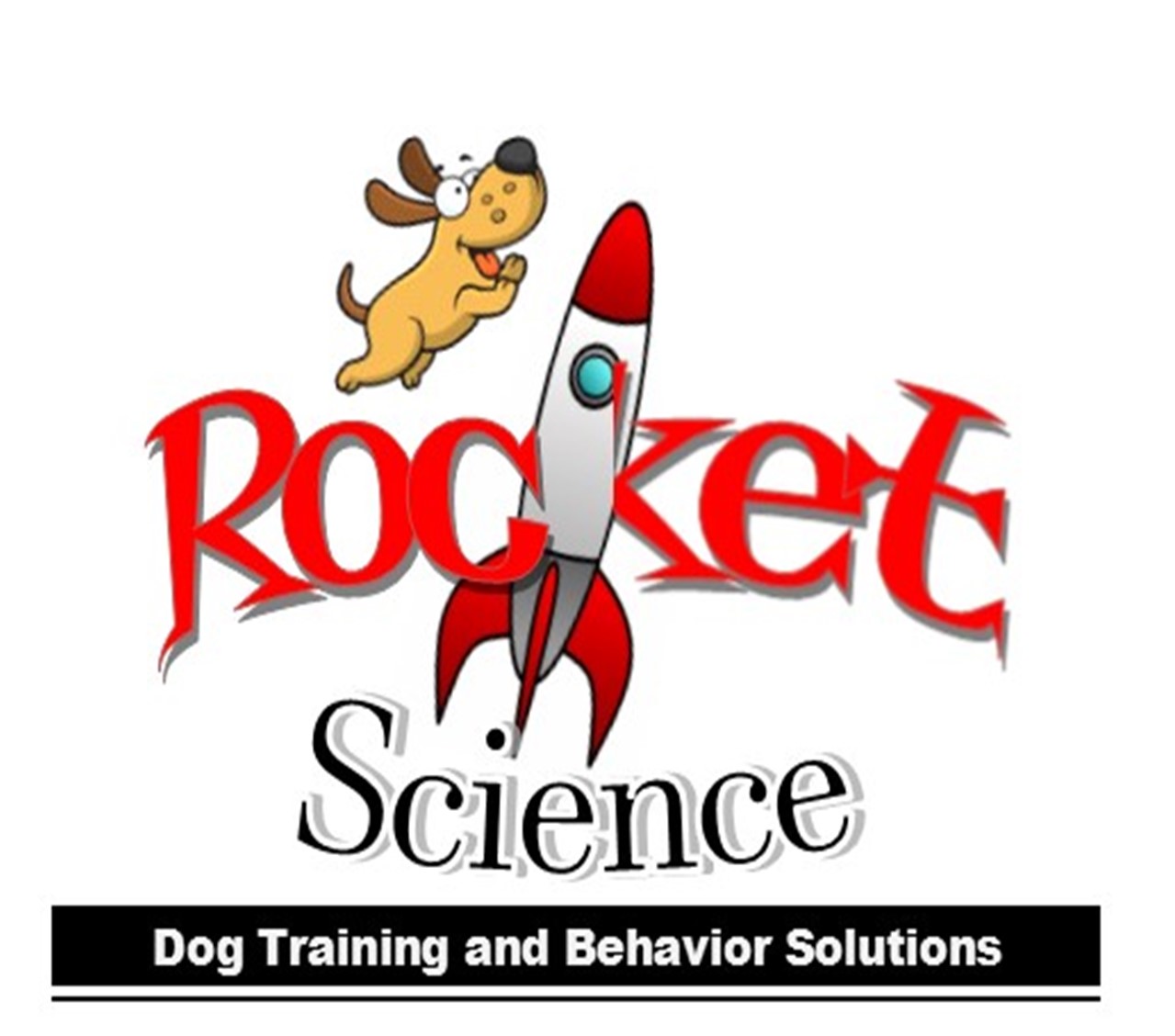 Rocket Science Training and Behavior Solutions's Photo
