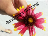 Good Spirit Cleaning