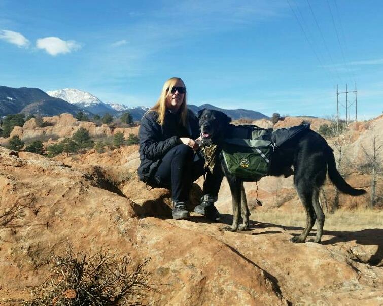 Paws for College's Photo