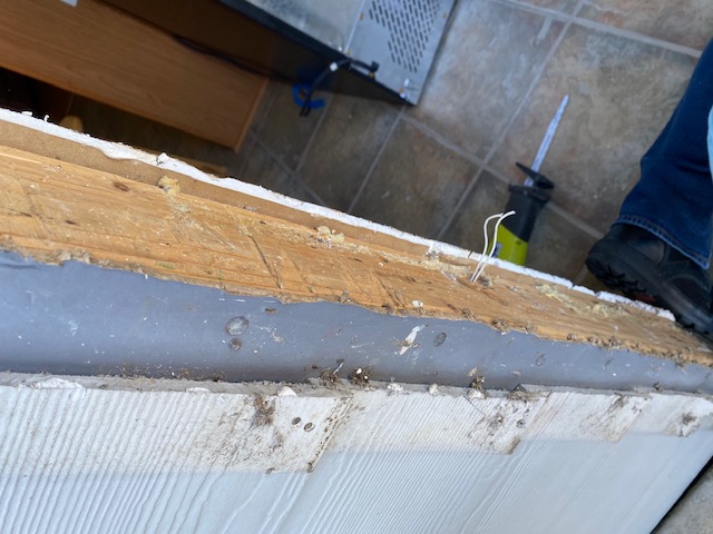 TruBlue Total House Care's Photo