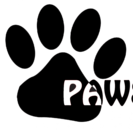 Pawsible SoBe