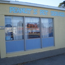 Peanut's Pet Service