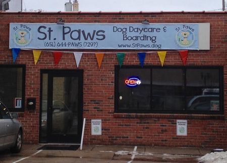 Paws dog daycare discount