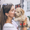 Fetch! Pet Care of Aggieland