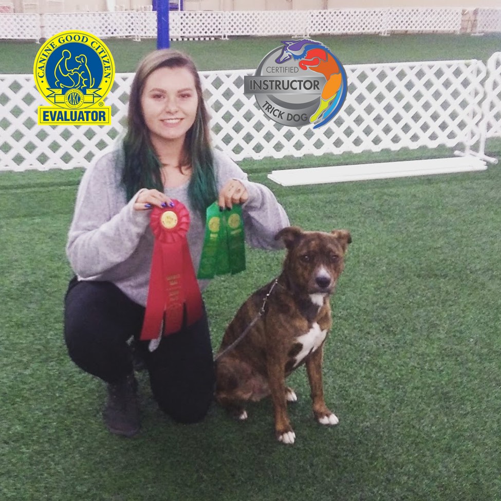 Buddha's Dog Training Academy's Photo