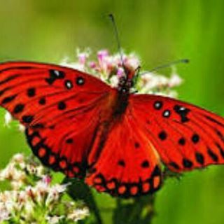 New Hope Home Healthcare's Photo