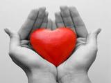 Gentle Hands With A Caring Heart's Photo