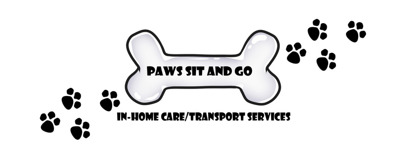 Paws Sit And Go Logo