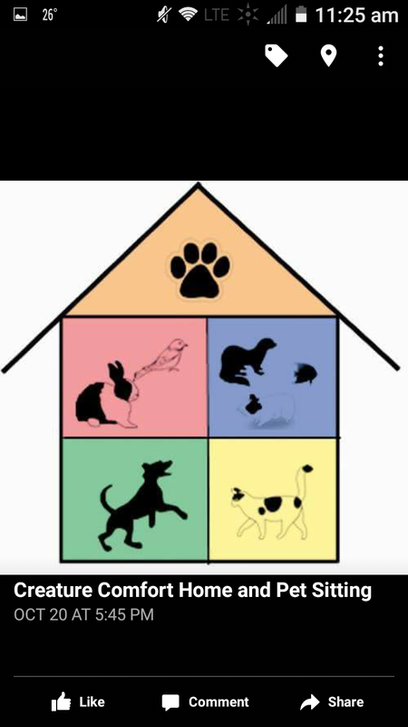 Creature Comfort Home and Pet Sitting's Photo