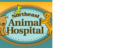 Northeast Animal Hospital's Photo